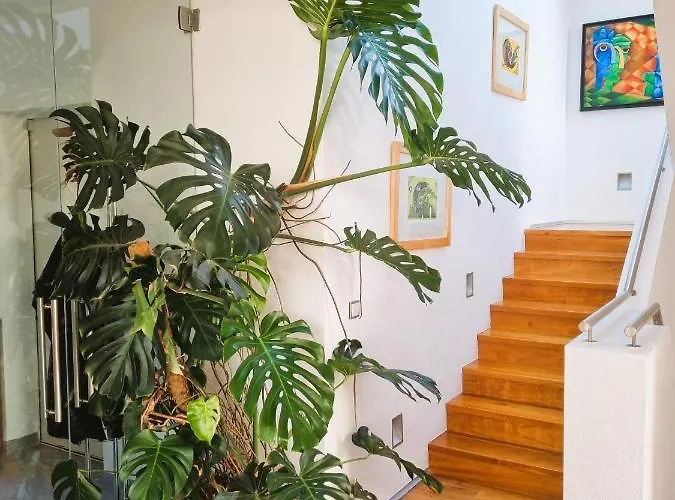 Mountains And Lakes - Gaumberg לינץ