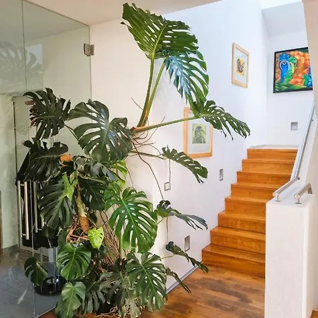 Mountains And Lakes - Gaumberg Linz